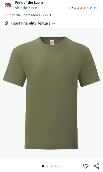 FruitoftheLoom T-Shirts (Different Colours)